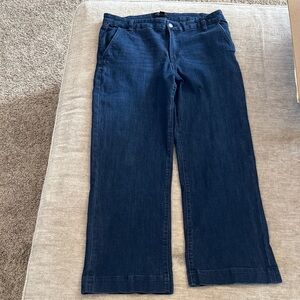 Banana Republic Dark Blue Flare Jeans